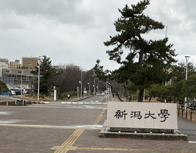 新潟大学